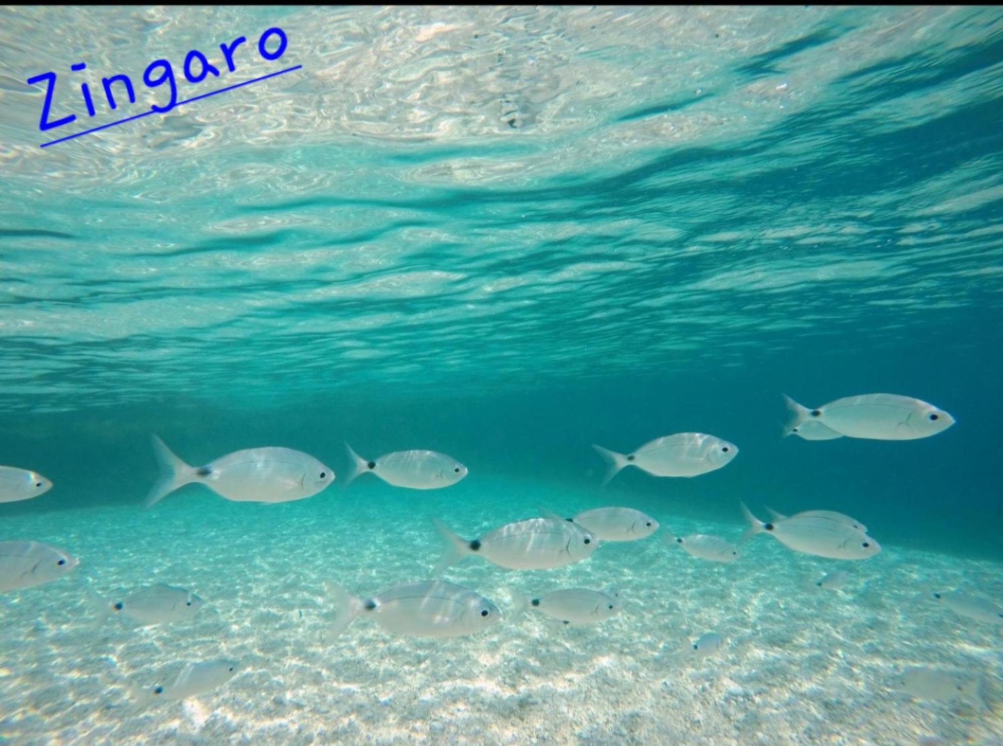 Mariposa 3* San Vito Lo Capo